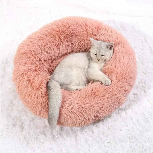 Fluffy Dream - a cicád álmainak fekhelye!