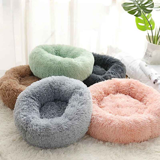 Fluffy Dream - a cicád álmainak fekhelye!